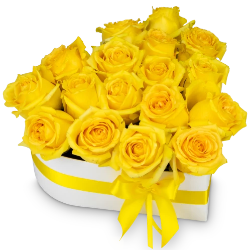 Květinový box růží